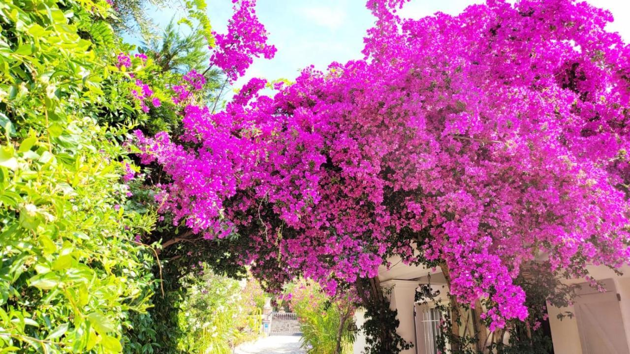 Villa Provencale A Sainte Maxime, Golf De Saint Tropez Luaran gambar