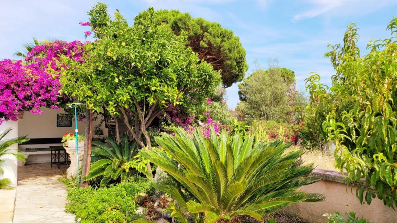 Villa Provencale A Sainte Maxime, Golf De Saint Tropez Luaran gambar